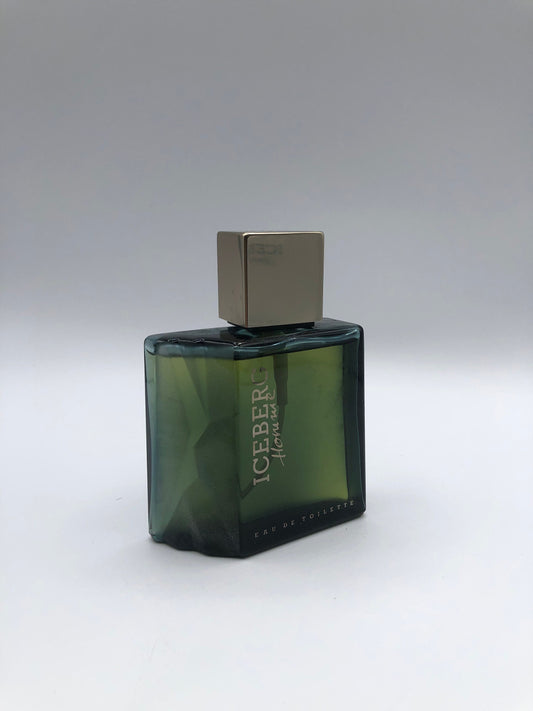 Iceberg Homme di Iceberg Eau de Toilette 100ml Spray Vintage Rare - ParfumVintage